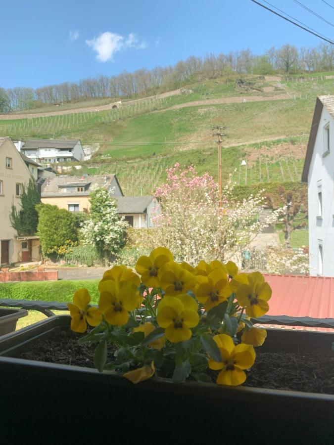 Ferienwohnung Mila Obernhof Екстериор снимка